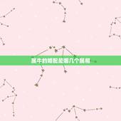 属牛的婚配是哪几个属相，属牛的找什么属相的对象最好