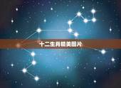 十二生肖精美图片，十二生肖高清415687360