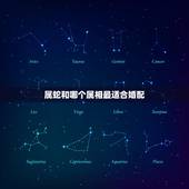 属蛇和哪个属相最适合婚配，属蛇的和什么属相最配，属蛇的配什么生肖最好