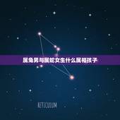 属兔男与属蛇女生什么属相孩子，男属兔女属蛇生什么属相的孩子好