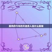 属鸡的今年的天德贵人是什么属相，属鸡的今年六十几啊