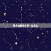 属虎的最忌讳哪个月出生，属虎的几月出生更好命