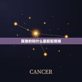属猪的和什么最般配婚姻，属鼠女的和什么属相最配