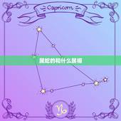 属蛇的和什么属相，属蛇和属什么的合适