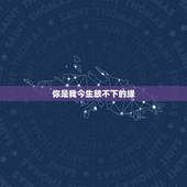 你是我今生放不下的缘，缘来缘去都是放不下的你是什么歌