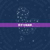 双子19年运势，双子座2019~2023年蓝色运势，健康运势，财运，全