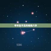 甲木生于丑月格局八字，男，出生公历1986年1月