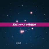属蛇人十一月份财运如何，属蛇十一月运气怎么样