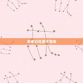 辛未日柱庚子流年，己未年乙亥月庚子日
