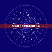 今年六十五岁属羊叫什么年，62岁属什么