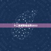 十二星座爱情运势2022，2022年十二星座爱情运势