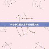 怀孕多久能测出男孩还是女孩，多久可以看是男孩还是女孩