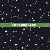 什么属相戴什么手串儿，配戴十二生肖手串有什么讲究么？