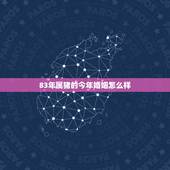83年属猪的今年婚姻怎么样，1983年属猪男婚姻状况