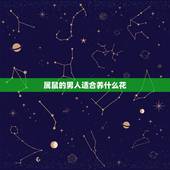 属鼠的男人适合养什么花，属鼠的人养金钱树好不好