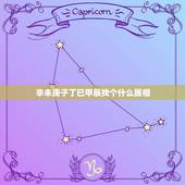 辛未庚子丁巳甲辰找个什么属相，男，辛未 庚子 戊辰 丁巳请真正懂八字的