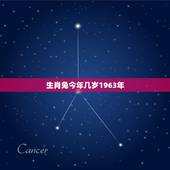生肖兔今年几岁1963年，1963至2022多少岁
