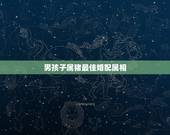 男孩子属猪最佳婚配属相，93年生的人和属什么生肖的相配