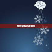 发财树有几种类型，有一种类似发财树的盆栽花卉名称是？