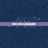 属狗人和什么属相最相配，属狗男的和什么属相最配