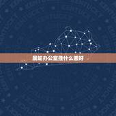 属蛇办公室挂什么画好，属蛇和属兔的家里挂什么画