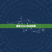 属蛇2022年运势男，2021年蛇男全年运势