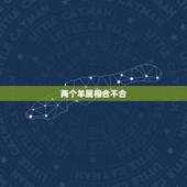 两个羊属相合不合，属羊女离不开什么生肖男