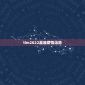 tim2022星座爱情运势，射手座2022运势星座运程