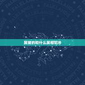 属猪的和什么属相犯冲，属猪和属猴相冲啥意思