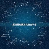 属虎男和属龙女的合不合，属虎男跟龙女相配