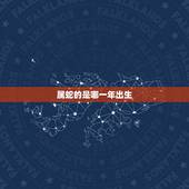 属蛇的是哪一年出生，金命人不适合做什么行业