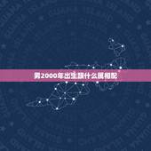 男2000年出生跟什么属相配，2000年属龙男孩的和属什么的比较配