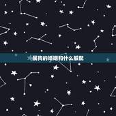 属狗的婚姻和什么般配，男女都属狗婚姻相配吗