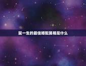 鼠一生的最佳婚配属相是什么，属马婚配什么属相最佳