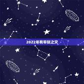 2022年有牢狱之灾，2022 年有牢狱之灾的命