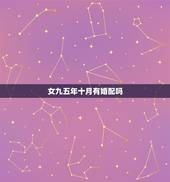 女九五年十月有婚配吗，94年女狗和95年男猪相配怎么样
