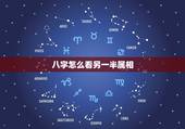 八字怎么看另一半属相，小女求解八字看看配偶属相和工作情况.