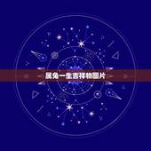 属兔一生吉祥物图片，属兔人的吉祥物是什么？08年要注意什么？多谢！