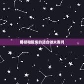 属猴和属兔的适合做夫妻吗，属相婚配：男属猴和女属兔相配吗