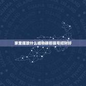 家里摆放什么植物辟邪镇宅招财好，什么树招财镇宅辟邪？