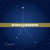 属马的生什么属相宝宝好呀，属马和属蛇的人生什么属相的孩子好