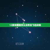 12属相里面怎么没有会飞的动物，十二生肖里怎么没有鸟？