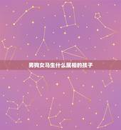 男狗女马生什么属相的孩子，男属兔，女属狗，请问生个孩子属马的好还是属羊