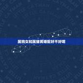 属狗女和属猪男婚配好不好呢，女属狗的和男属猪的婚姻好吗