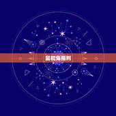 鼠和兔相刑，子鼠又与卯兔相刑什么意思