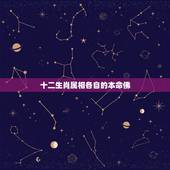 十二生肖属相各自的本命佛，十二生肖各自的本命佛是什么？