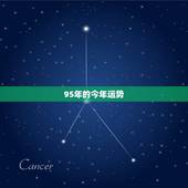 95年的今年运势，95年12月20出生今年运势
