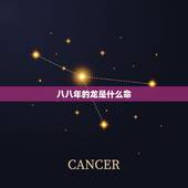 八八年的龙是什么命，84年鼠是什么命