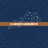 什么属相和什么属相结婚不好，生肖是老鼠，和哪些生肖结婚好？和哪些结婚不