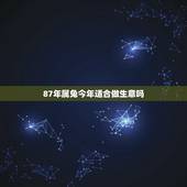 87年属兔今年适合做生意吗，1987年属兔的适合做生意吗